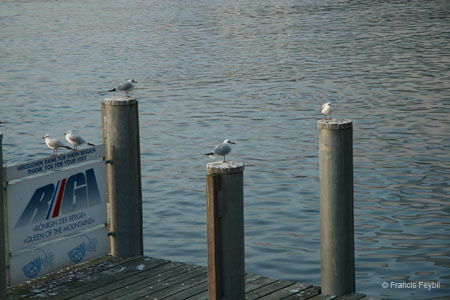 WHL 2006 Vitznau - 238