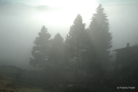 WHL 2006 Vitznau - 337